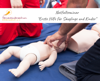 Notfallseminar „Erste Hilfe für Säuglinge und Kinder“