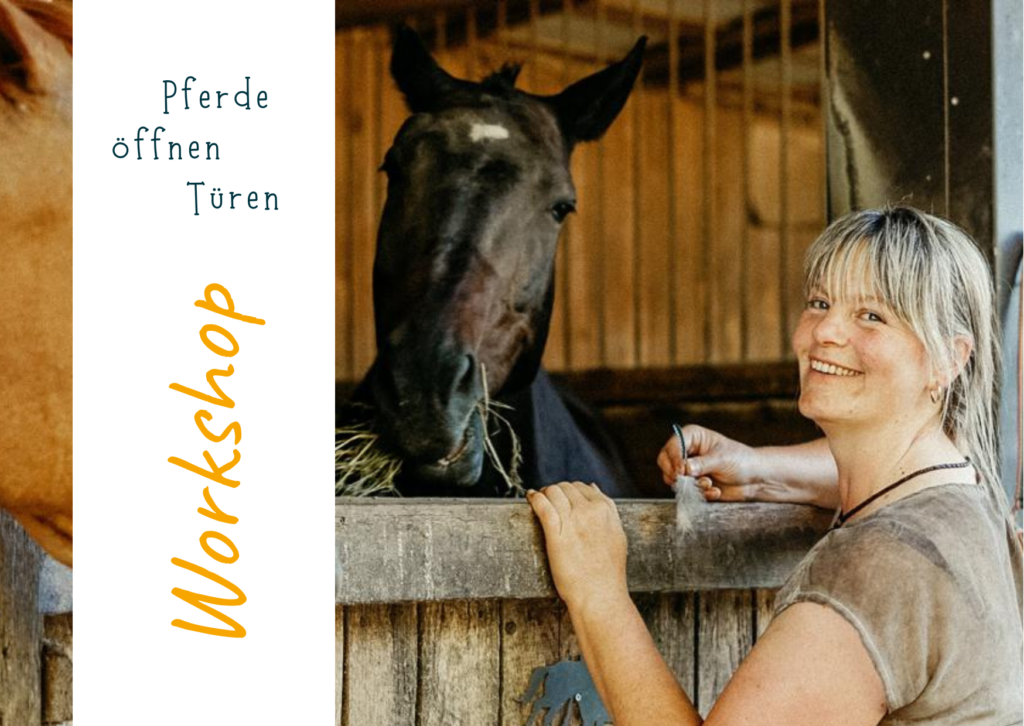 Pferdecoaching mit Sonja Ruhland Sternenkinderzentrum Odenwald