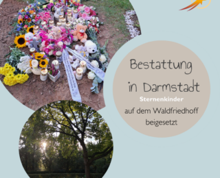 Sammelbestattung in Darmstadt